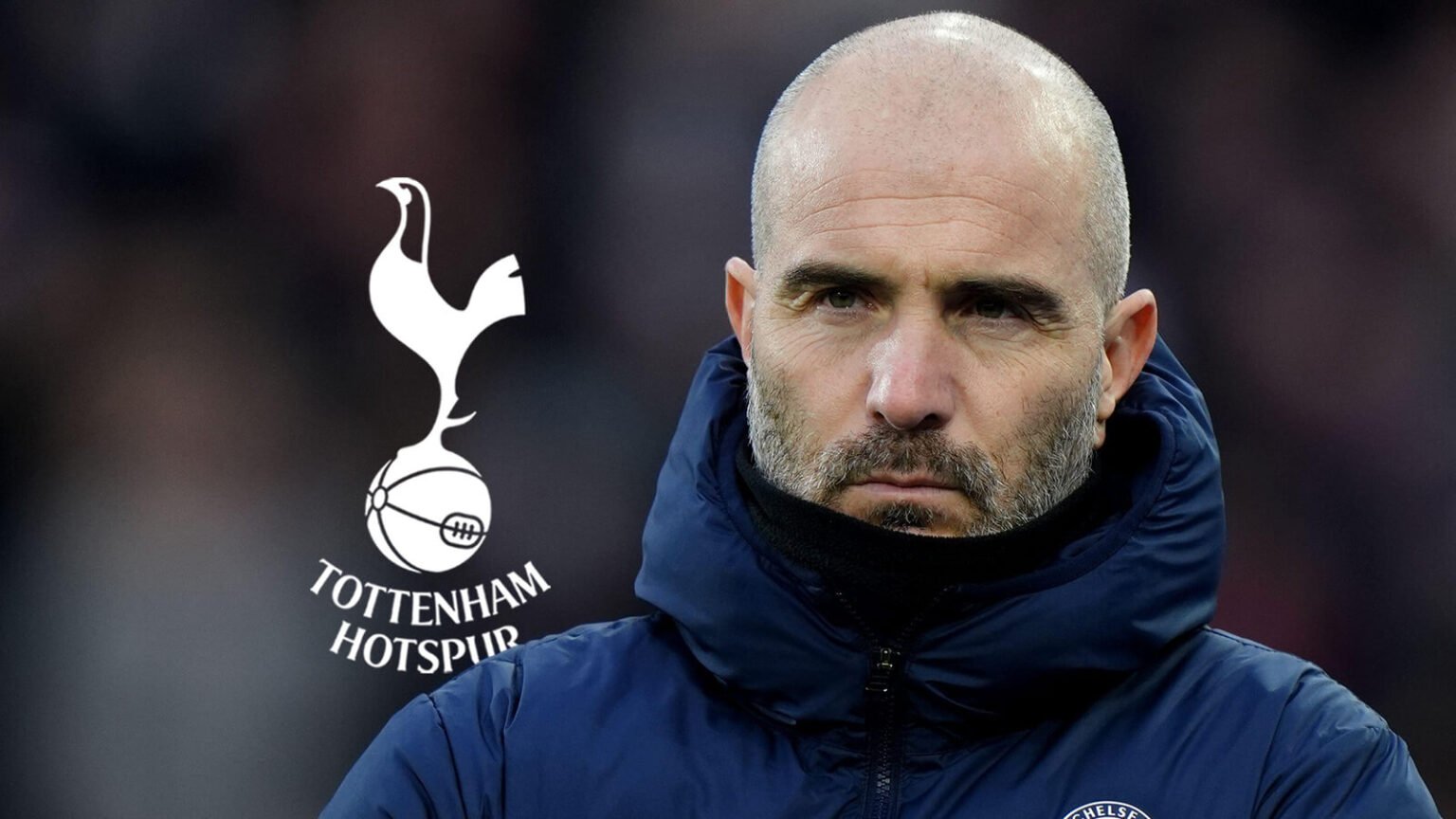 Former Tottenham man asks for Enzo Maresca at Spurs ‘right now’