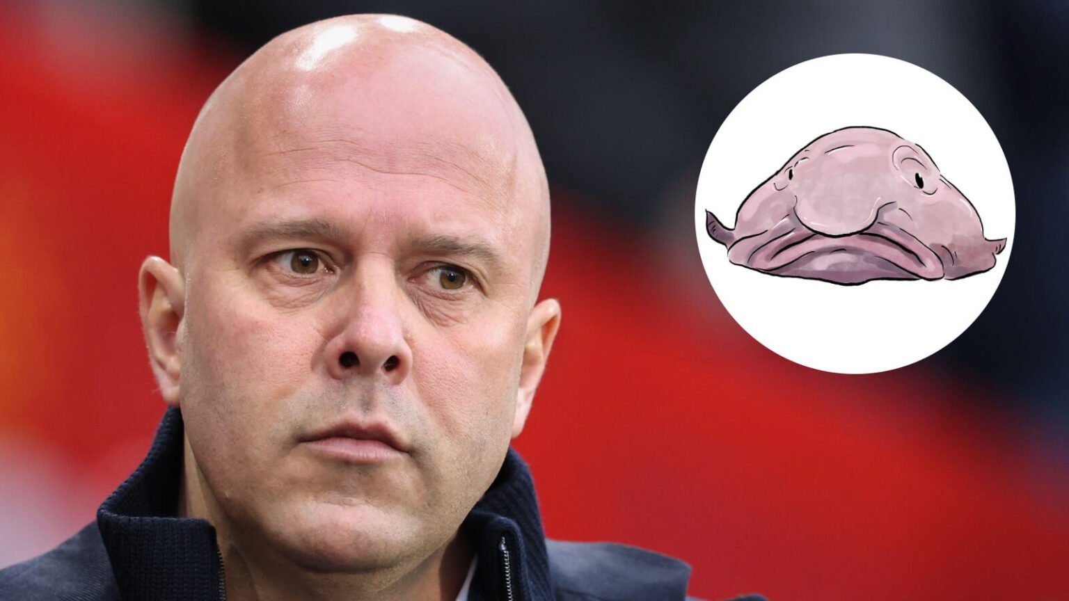 Arne Slot a ‘human blobfish’ in charge of ‘stultifyingly bobbins’ Liverpool