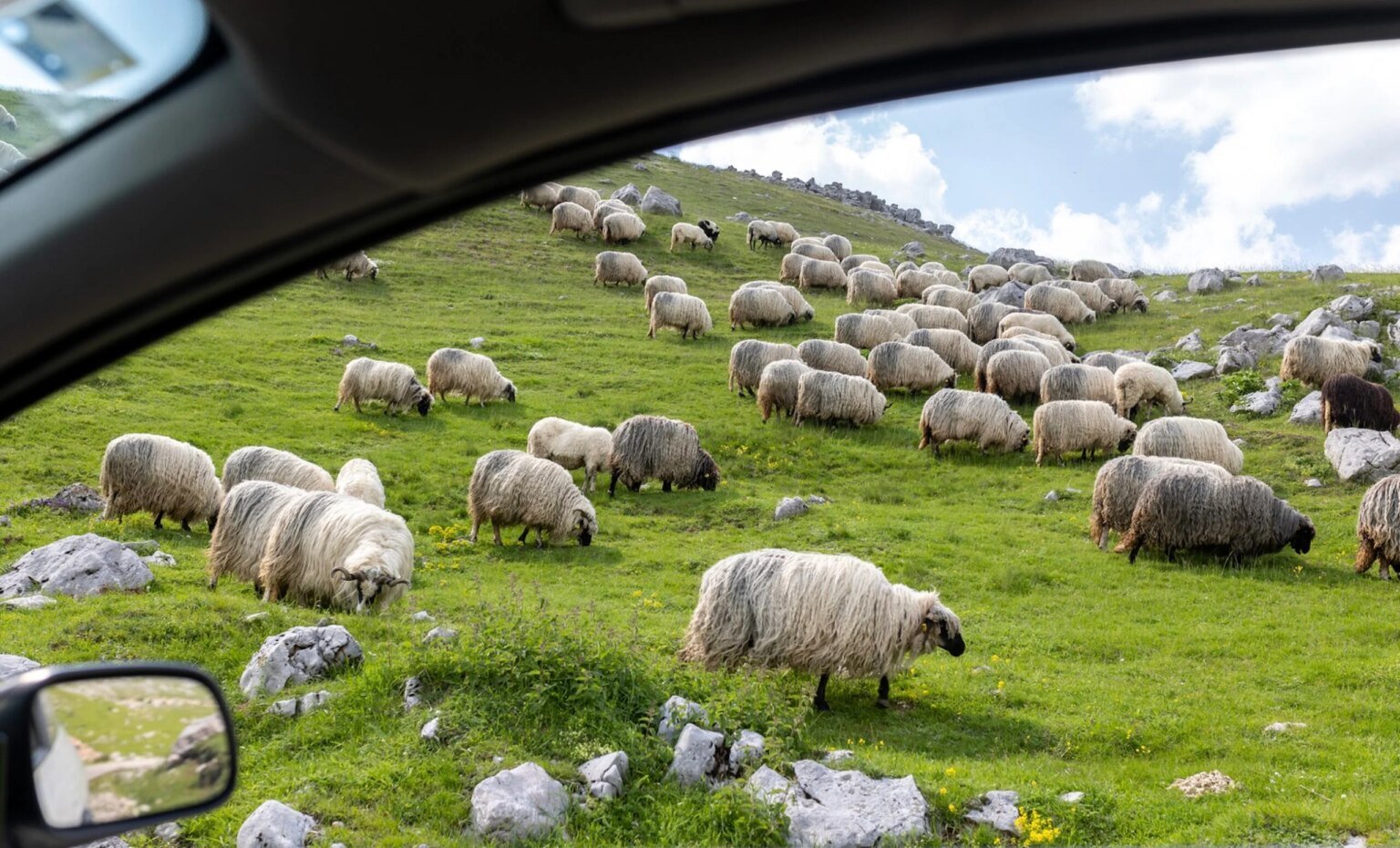 Have a Relaxing Weekend.